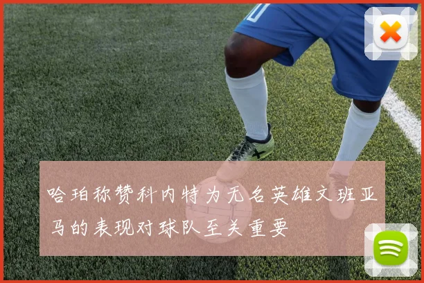哈珀称赞科内特为无名英雄文班亚马的表现对球队至关重要