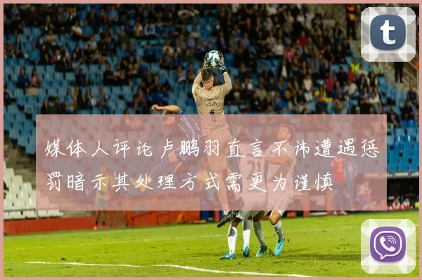 媒体人评论卢鹏羽直言不讳遭遇惩罚暗示其处理方式需更为谨慎