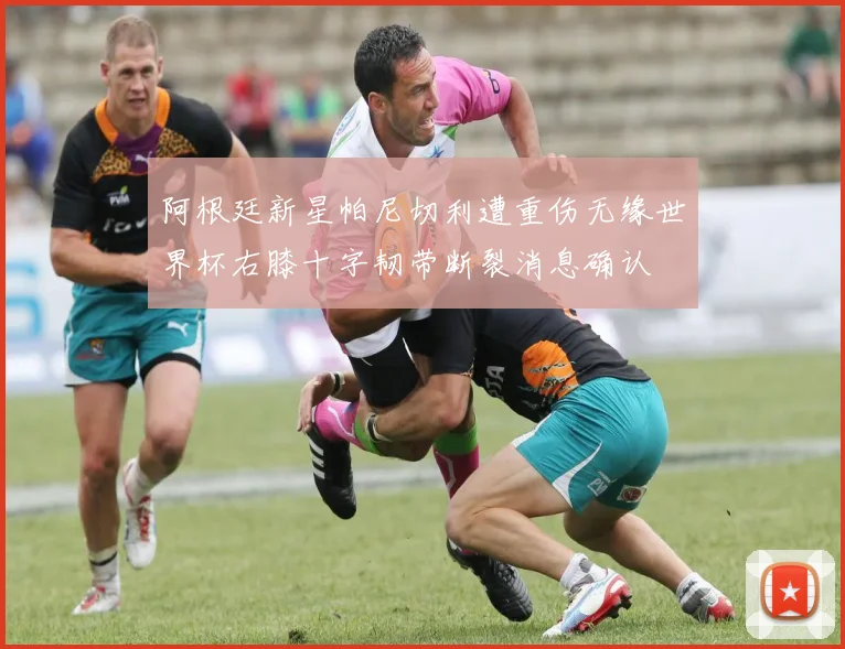 阿根廷新星帕尼切利遭重伤无缘世界杯右膝十字韧带断裂消息确认